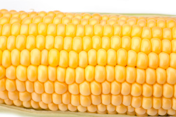 Maize