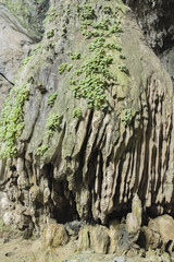 Parfüm Pagode Huong Tich Höhle im vietnamesisch Chua Huong, Hanoi