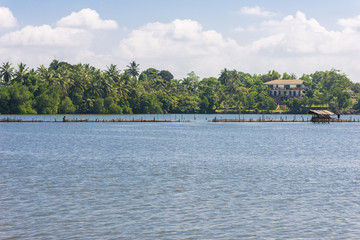 Fototapeta premium The Hikkaduwa Lake in the north-east of the same city. With its monitor lizards and numerous birds, it is a very pleasant excursion away from the beach. The lagoon with an estuary, has mixed water