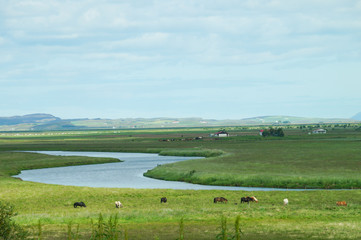 Beautiful view in summer,Iceland