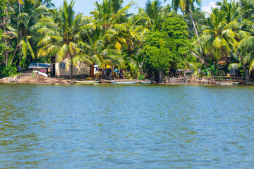 The Hikkaduwa Lake in the north-east of the same city. With its monitor lizards and numerous birds, it is a very pleasant excursion away from the beach. The lagoon with an estuary, has mixed water