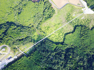 三島スカイウォーク