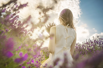 Fototapeta premium Powrót młodej szczupłej dziewczyny przez kwiaty lawendy. Wieczór na lawendowym polu. Ciesz się latem! nierozpoznawalny portret