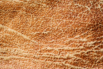 Leather abstract background with texture