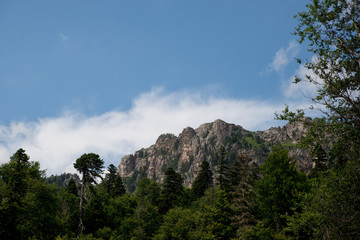 Majestic mountain landscapes of the Caucasian reserve