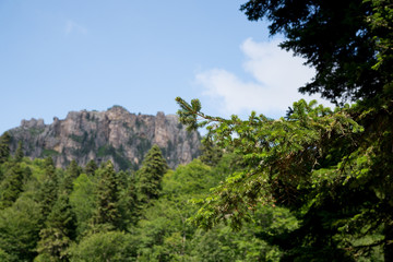Majestic mountain landscapes of the Caucasian reserve