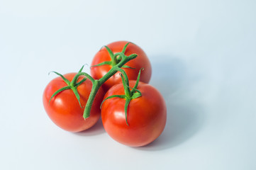 tomatoes3