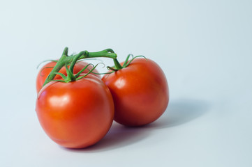 tomatoes1
