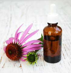 bottle with essence oil with purple echinacea - obrazy, fototapety, plakaty