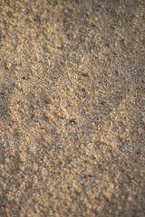 Texture sabbia