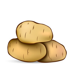 Potato. Vector.