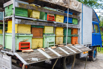 Colorful and vibrant bee hives on old truck in Carpathian mountains, Romania