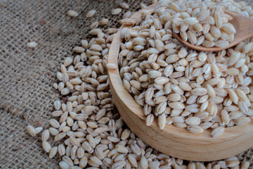 pearls barley grain seed on background.