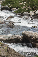 Nature landscape, water stream in Fagaras mountains at Carpathians, Romania