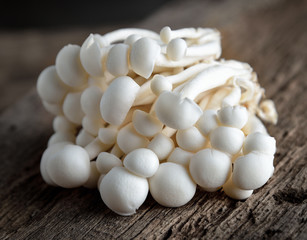 White shimeji mushrooms on wooden rustic table.
