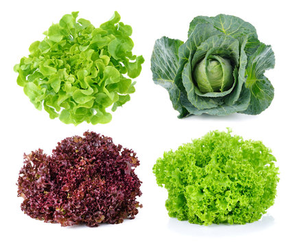 lettuce leaves and cabbage isolated on white.