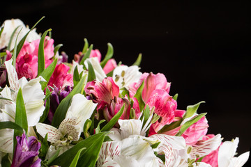Bouquet of pink and white irises on a black background