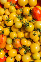 yellow cherry tomato background