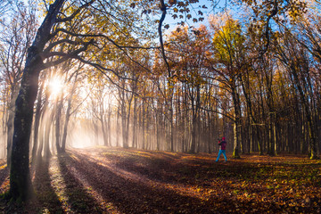 Foreste Casentinesi National Park, Badia Prataglia, Tuscany, Italy, Europe. One person is taking pictures in the wood.