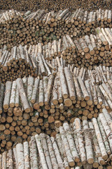 felled forest folded stock