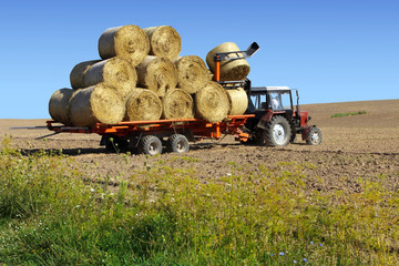 Obraz premium Tractor driven straw bales on the field