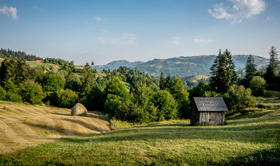 Meadow in the mountains