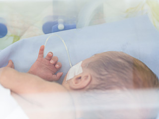 Sick newborn baby, infant in an incubator after preterm birth at intensive care unit or neonatal room at hospital