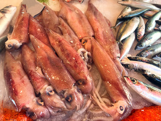 Fresh seafood displayed at the market
