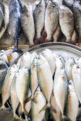 Fresh sea fish at the fish market, shallow depth of field.