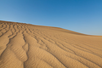 Naklejka premium Desert