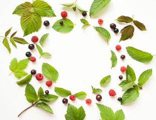 Composition with Fresh mint leaves and red raspberries and black