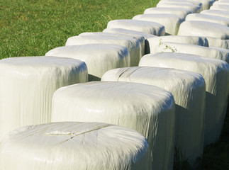 Bales of silage.