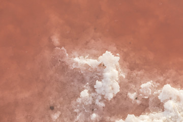 detail of red Salt lake - Camarque, France