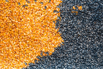 Corn and sunflower seeds