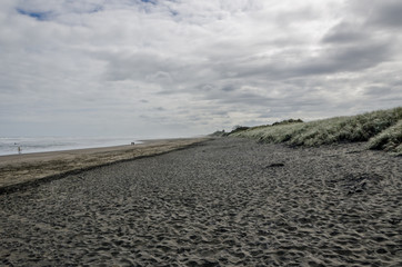 Overcast Volcanic Muriwai Beach, New Zealand