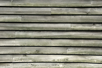 Obraz premium grau verwitterte Holzbretter