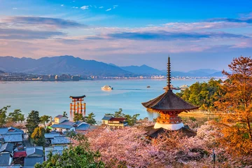 Tuinposter Miyajima Island, Hiroshima, Japan © SeanPavonePhoto