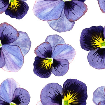Watercolor illustration of pansy seamless pattern