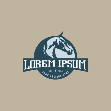 horse vintage logo. emblem design concept template
