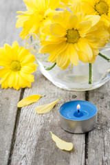 Fototapeta na wymiar Fresh yellow daisy flowers and blue lit candle