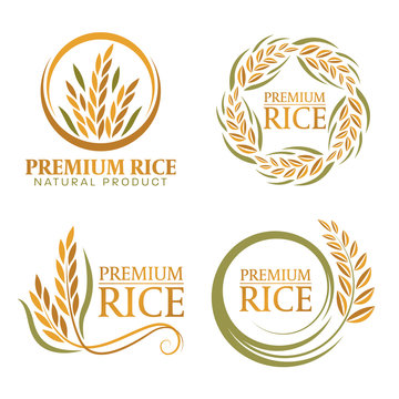 wreath paddy premium rice natural product banner sign vector design