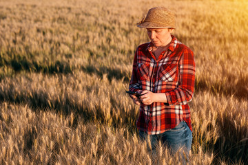 Naklejka na ściany i meble Female farmer standing in wheat field and using mobile phone