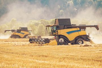 Fototapeta premium View on the combine working on the large wheat field