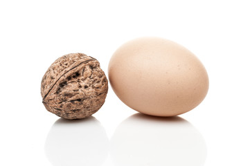 chicken eggs and a nut standing isolated on white background
