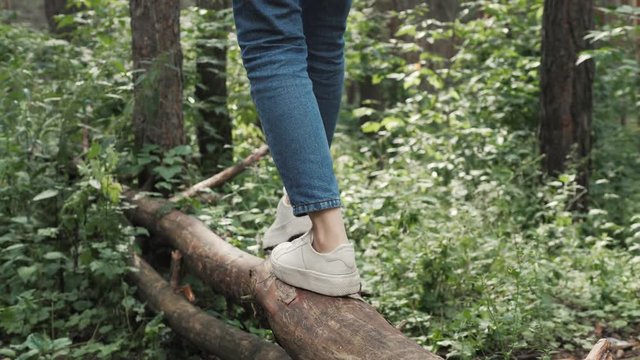 Closeup of woman's legs sneakers walking in the forest. Girl balancing on fallen old tree.