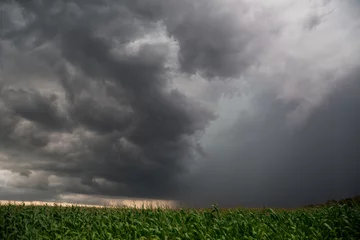 Room darkening curtains Storm Storm above the corn field