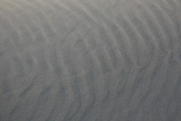 Baltic sea costline sand facture.