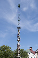 Obraz premium Maibaum 