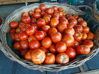 tomatoes many in the basket