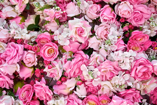 Pink rose background. Roses flower bouquet. For lover or sweetheart of Valentine's Day. Top view. Close up.